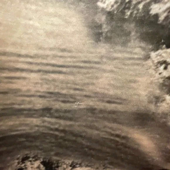 BCBG MAXAZRIA Top - Picture 3 of 10